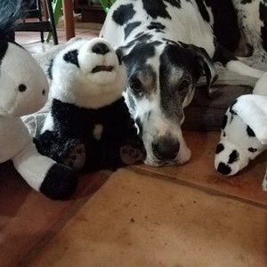 Meet your Posher, Sandra